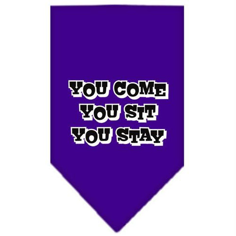 You Come, You Sit, You Stay Screen Print Bandana Purple Small