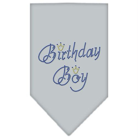 Birthday Boy Rhinestone Bandana Grey Small