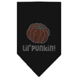 Lil Punkin Rhinestone Bandana Black Large