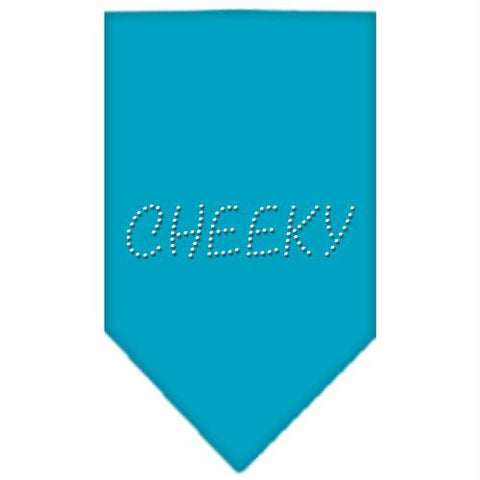 Cheeky Rhinestone Bandana Turquoise Large